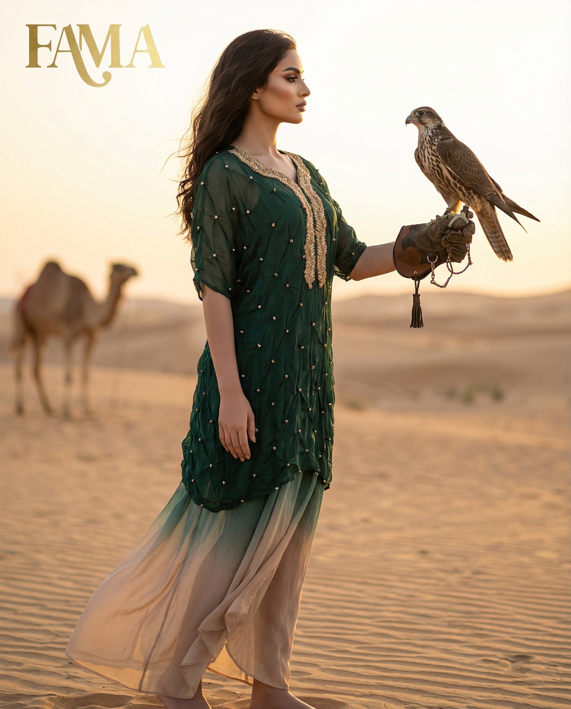 E3-11 – Emerald Ombre Embellished Draped Set