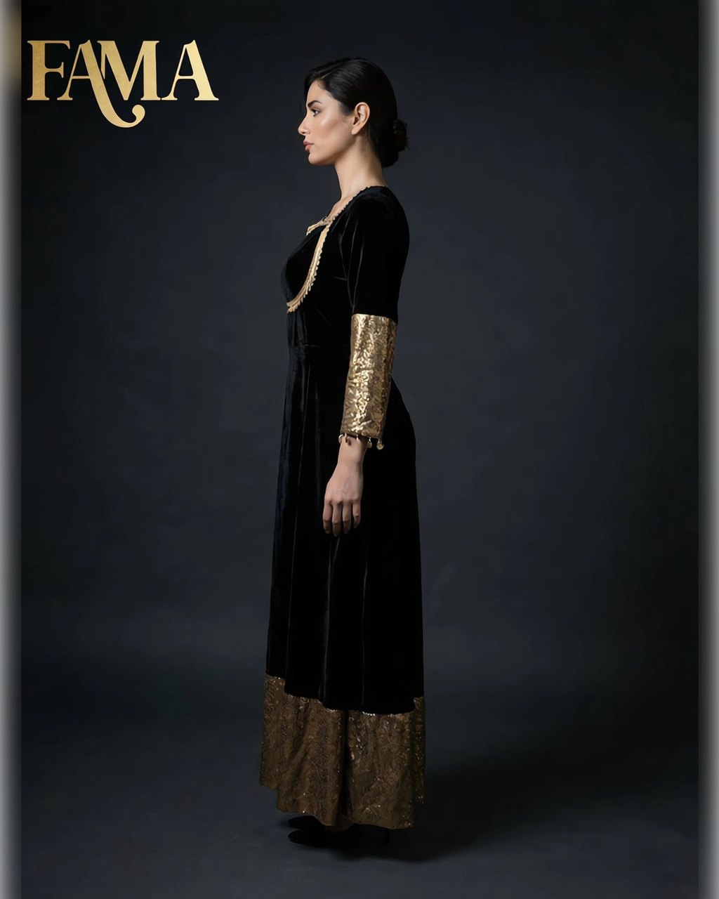 Royale Velvet Gold-Border Anarkali Dress PK 1